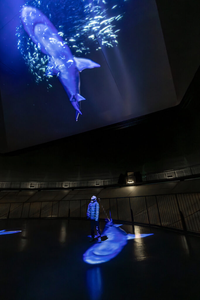 Die Welle, ein Erlebnis fürs Auge: Mehrdimensionale Darstellung des Ozeans auf riesigen Leinwänden.